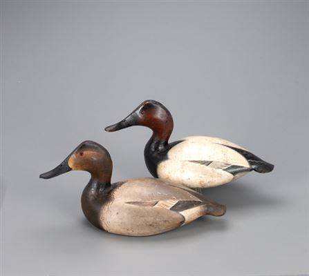 The Purnell-Muller Ward Canvasback Pair