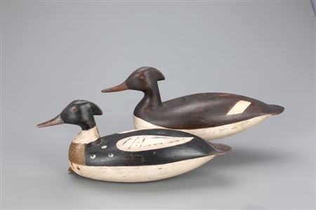 Mackey-Truex Merganser Pair