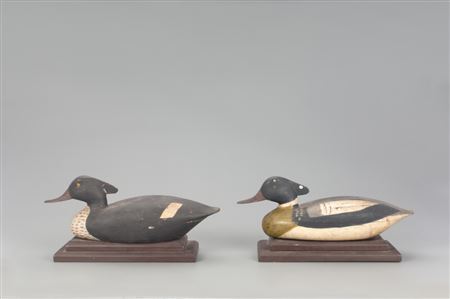 Red-Breasted Merganser Pair