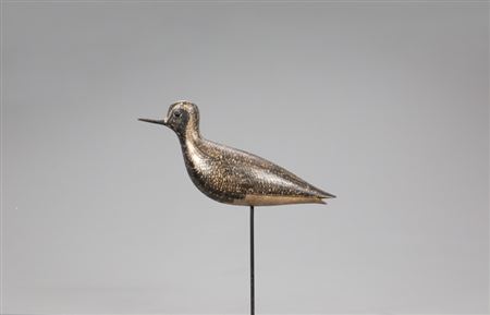 Black-Bellied Plover in Spring Plumage