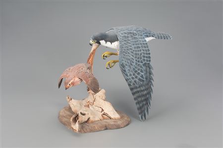 Peregrine Falcon and Bobwhite Quail