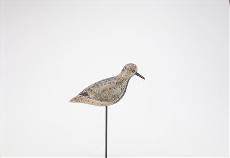 O'Brien Verity Plump Plover