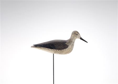 Nina Fletcher Little Wilson Yellowlegs