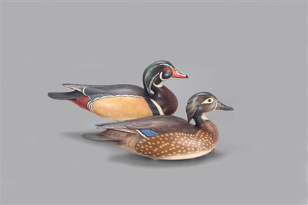 Wood Duck Pair by William Gibian - Auction record, sale price, and art valuation. Compare with similar artists and explore comparable artworks.