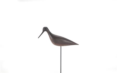 Rare Dowitcher
