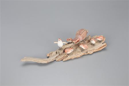 Miniature Quail Hen with Chicks