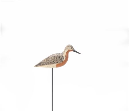 Robin Snipe