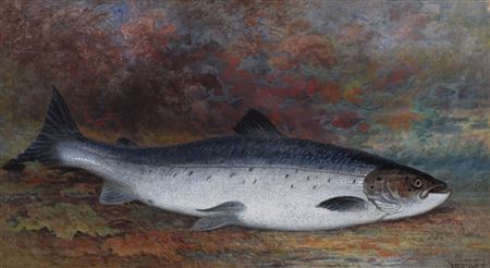 Fresh Caught