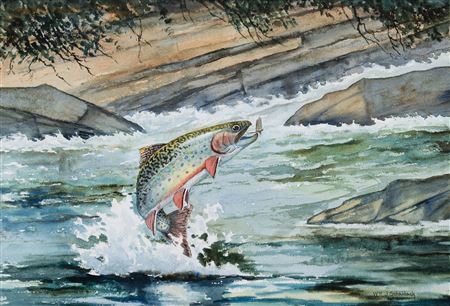 Brook Trout; Brown Trout (2)