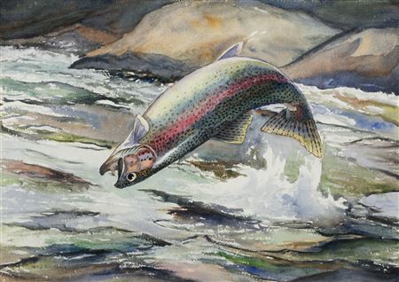 Leaping Rainbow Trout; Pike (2)