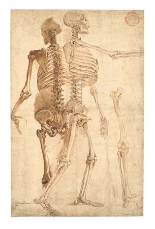 Deux études de squelettes by Giovanni Battista Franco Il Semolei - Auction record, sale price, and art valuation. Compare with similar artists and explore comparable artworks.