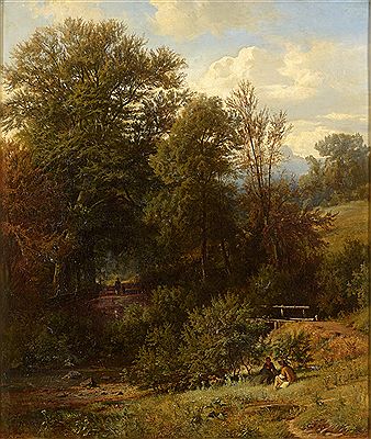 Forest idyll in the Harz Mountains