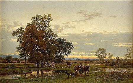 Pasture landscape