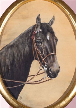 THE HEAD OF THE PUNISHED HORSE