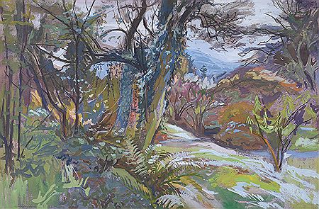 The Artist's Garden, Wye Valley