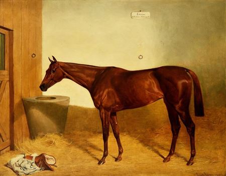 Portrait of the race horse, Kincsem
