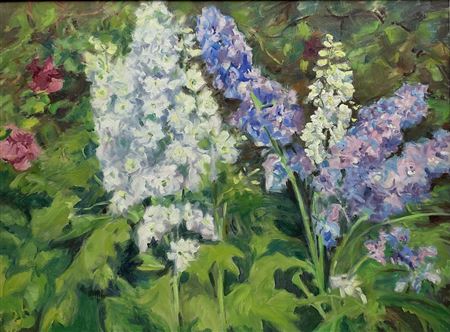 'Garden Delphiniums'