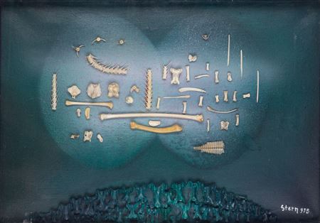 "Zones I"