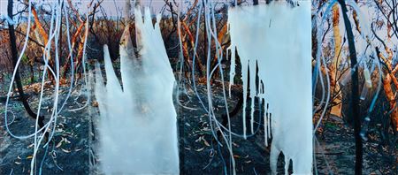Landscape And Residues Series 2007 by Janet Lawrence - Auction record, sale price, and art valuation. Compare with similar artists and explore comparable artworks.
