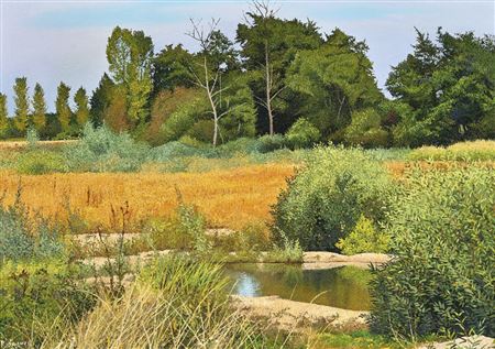 Paysage