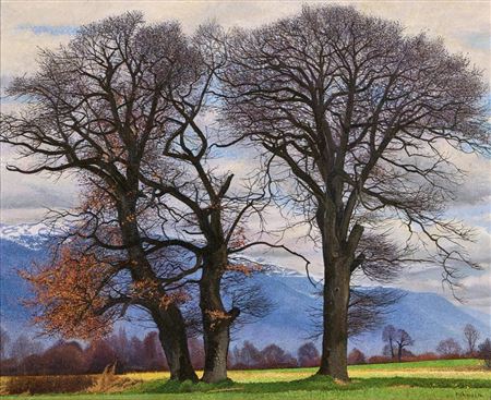 "The three oaks of Fernières