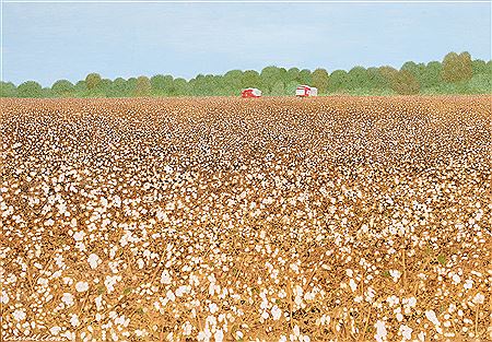 Pickers