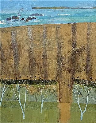 Coastal Field