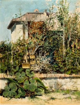 House with bird cases