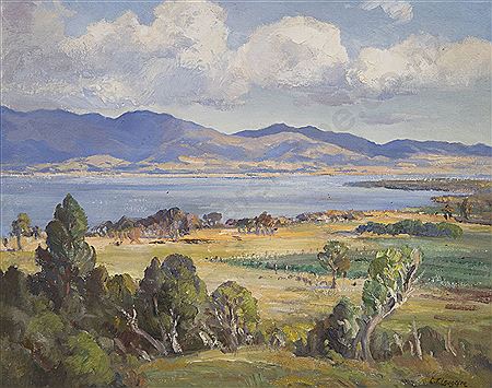 New Zealand Landscape