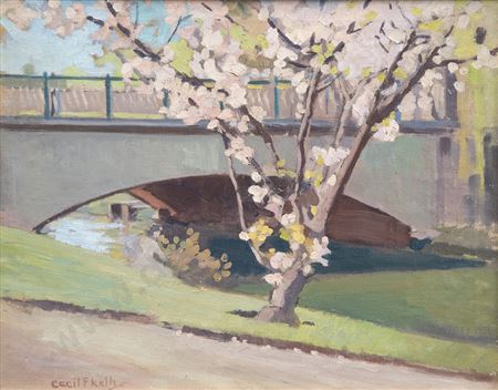 Cherry Blossom