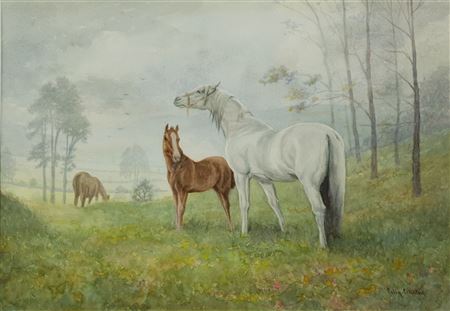 Horses Grazing