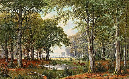 Abendliche Waldlandschaft
