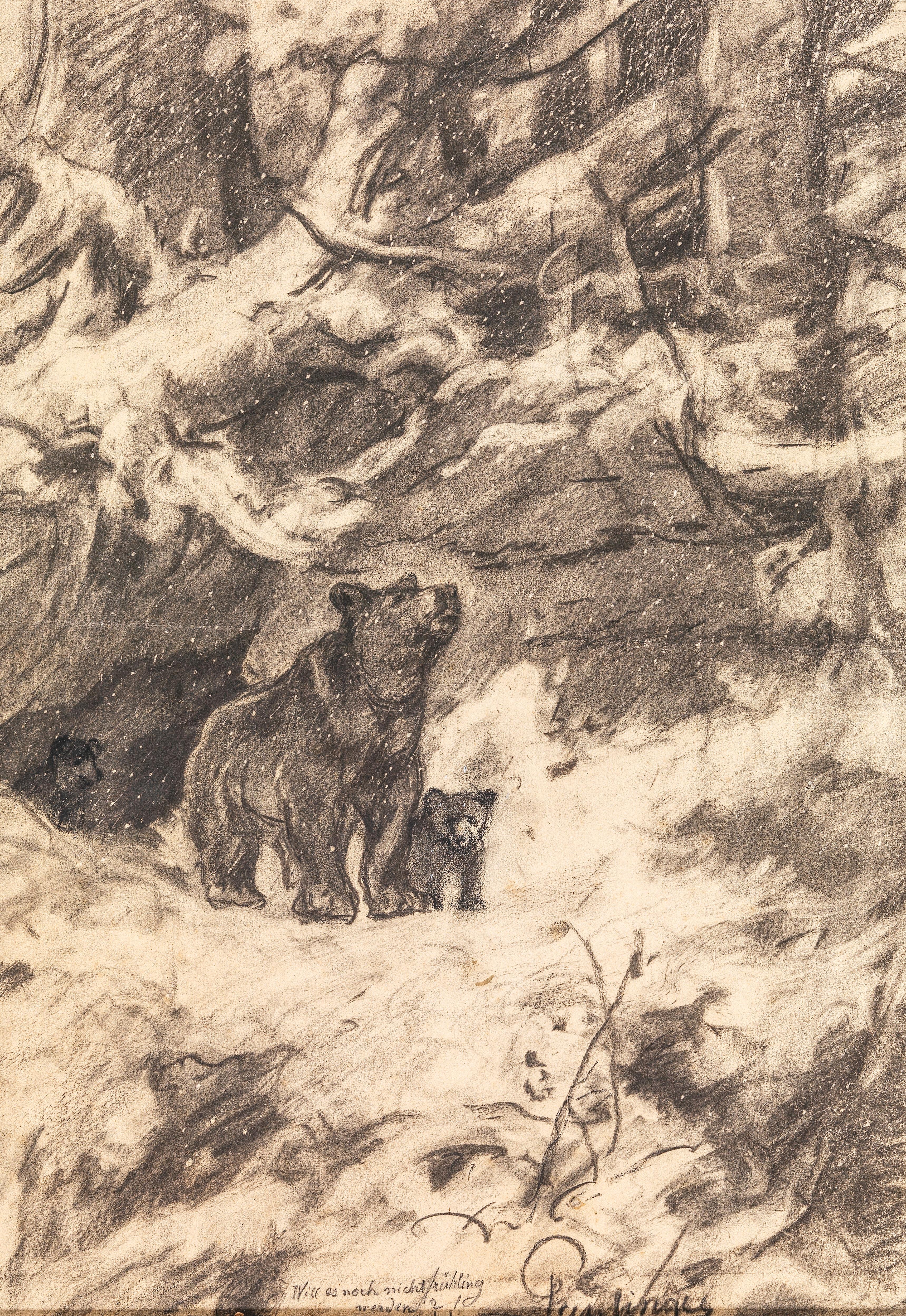 Bears in the snow