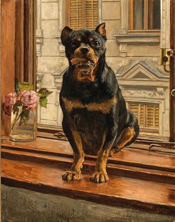 Pinscher am Fenster