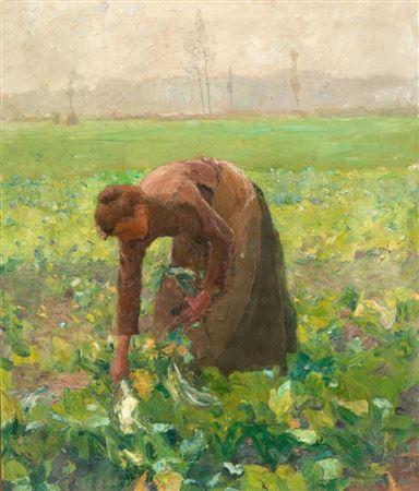 In the field