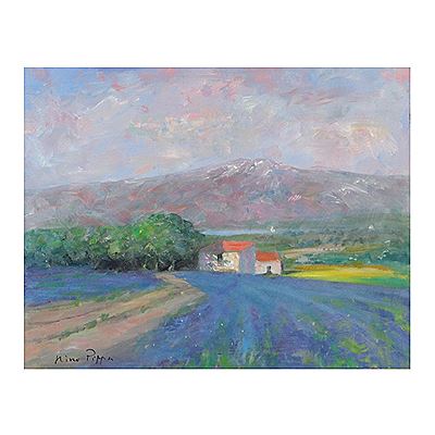 In Van Gogh Footsteps – Lavender Field on the Rhone Valley, 2015