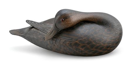 BLACK DUCK DECOY
