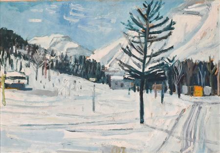 Paesaggio innevato
