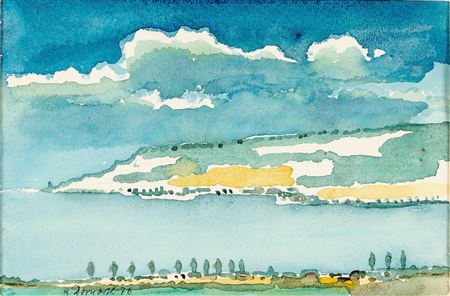 Weite Seenlandschaft nach einem Regenschauer. Seenlandschaft mit Inselvorsprung