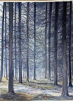 Woodland, Co. Wicklow