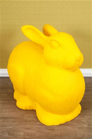 Lapin jaune
