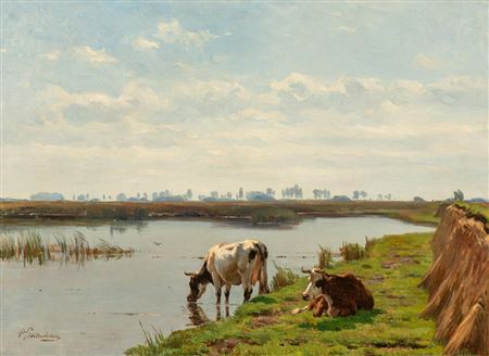 Cows in the Meadow