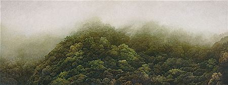 Mist, Bruwan, Hualien