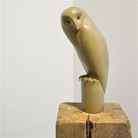 Barn Owl