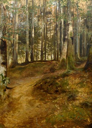 Silence of the Forest