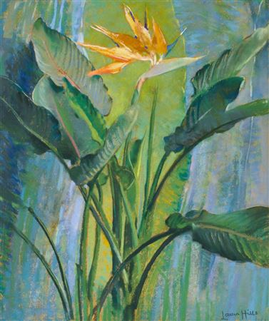 Bird of Paradise