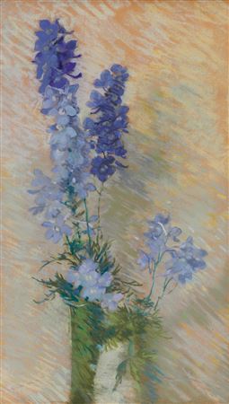 Larkspur