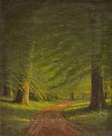 Road Through The Woods
