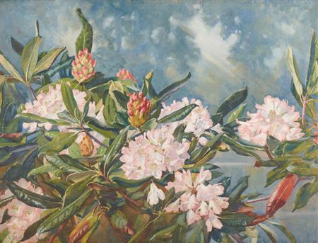 Rhododendrons 1924 by Frank Convers Mathewson - Auction record, sale price, and art valuation. Compare with similar artists and explore comparable artworks.