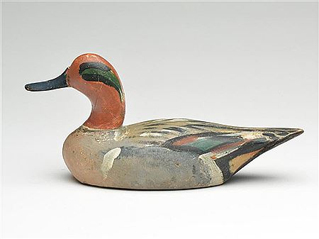 Very rare greenwing teal drake